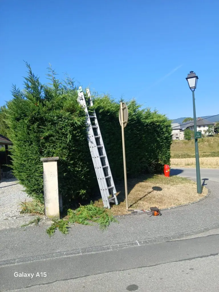 Entretien de jardin