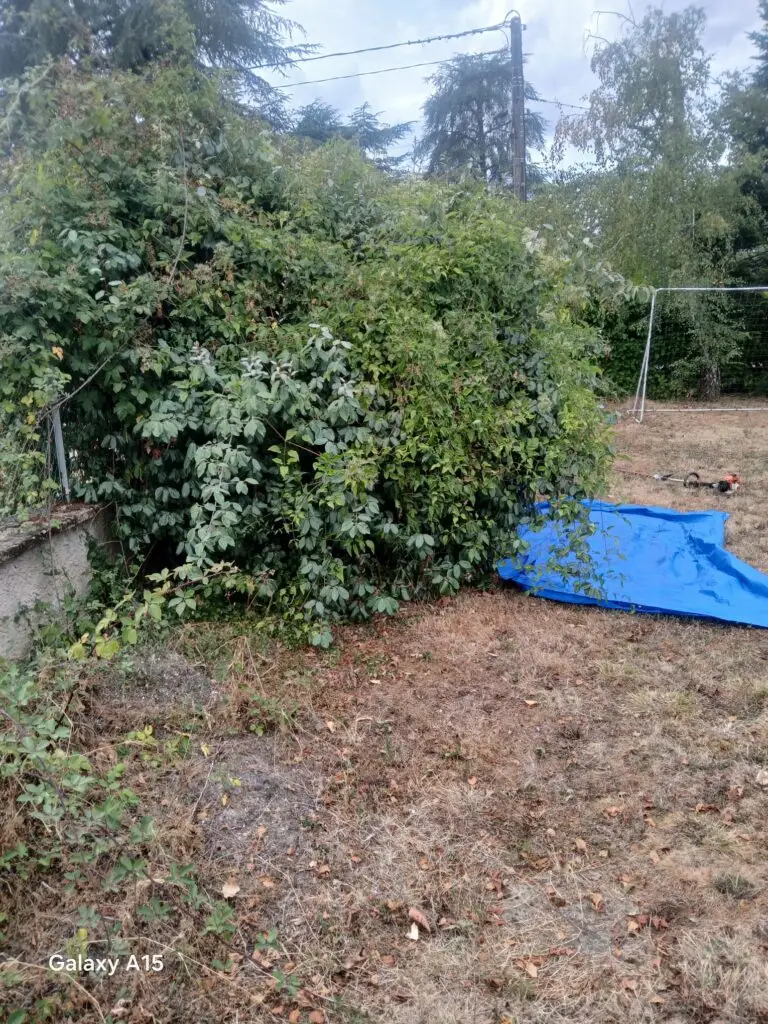 Zone de terrain à remettre en état